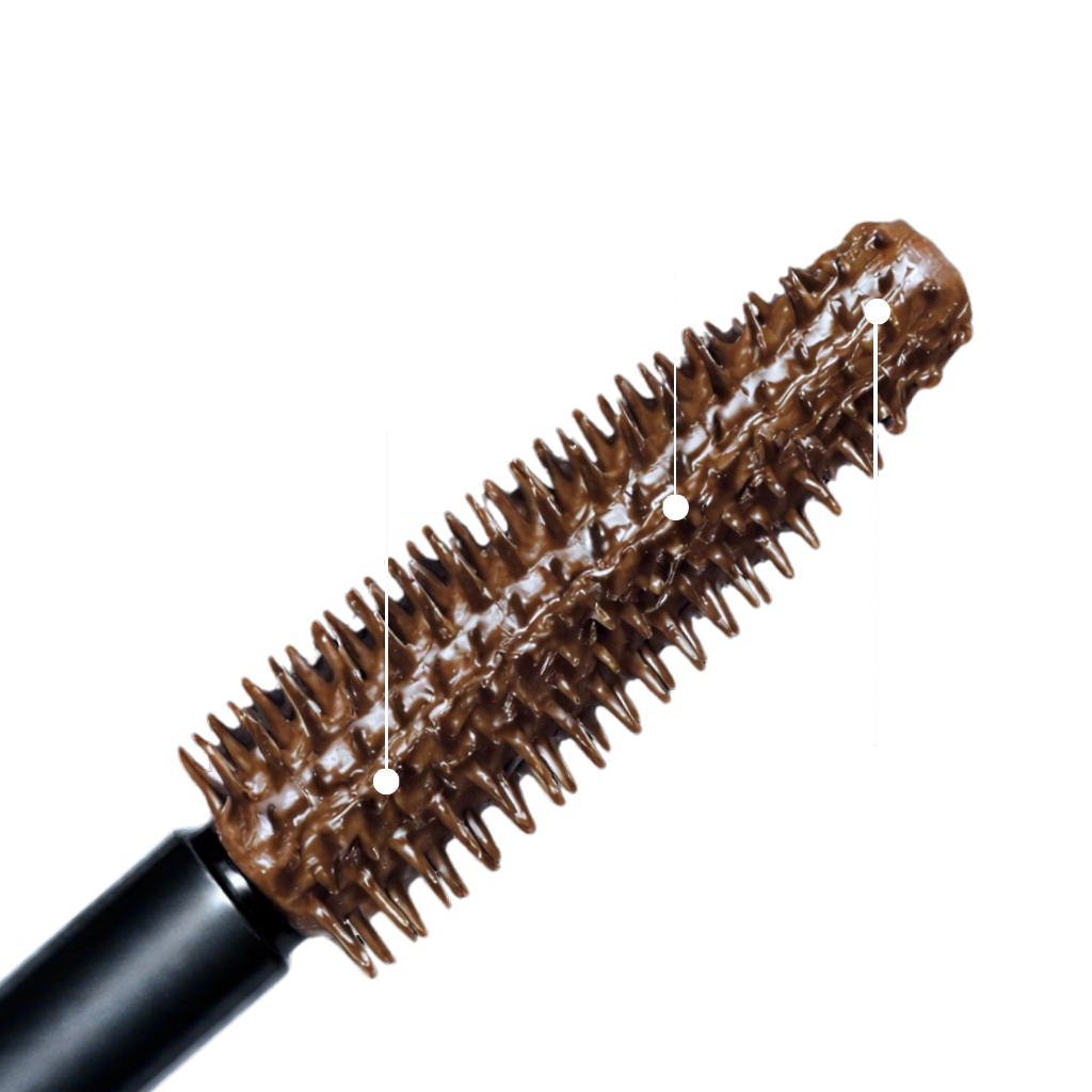 LashStudio™ - Business Class