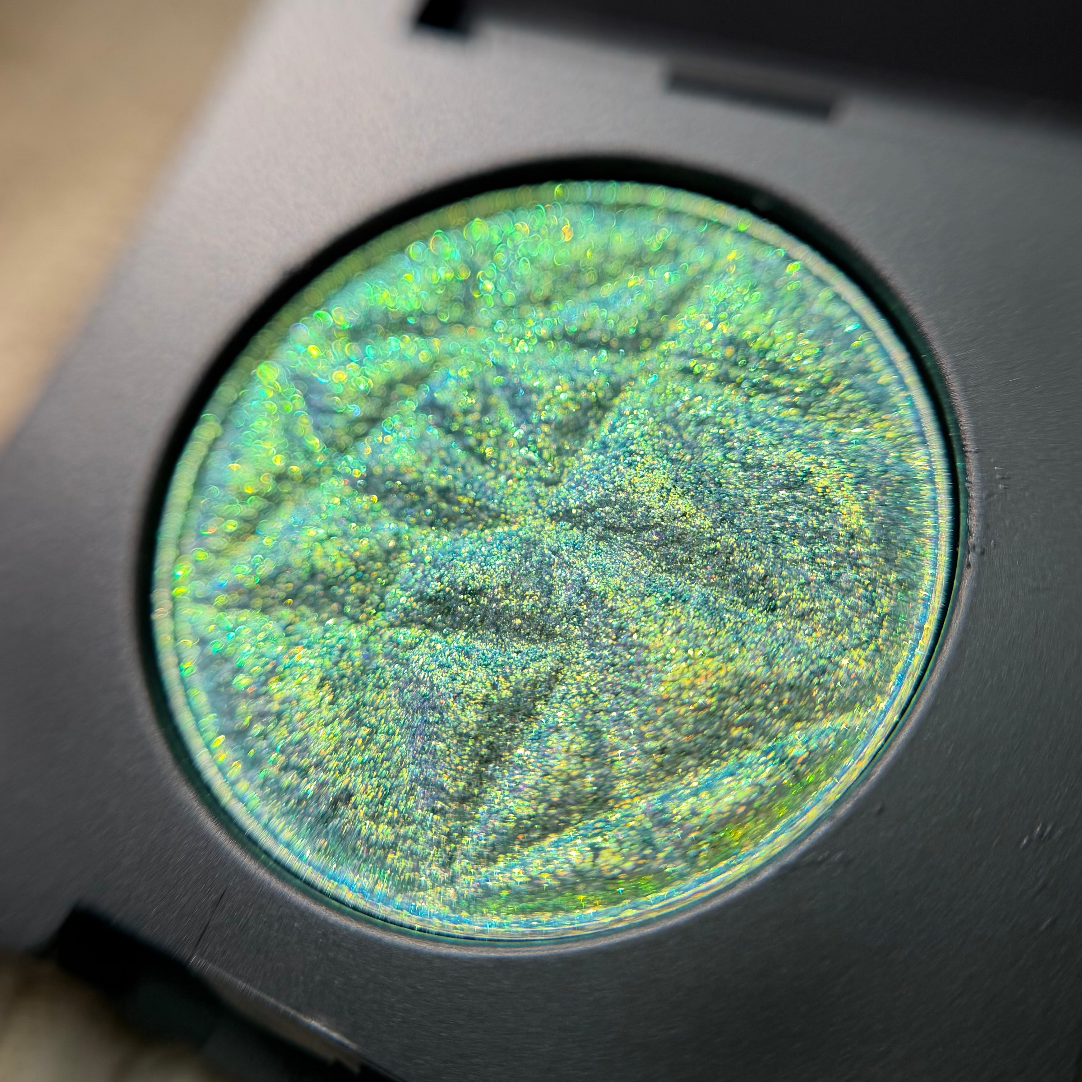 MultiShade™ – Venus Office