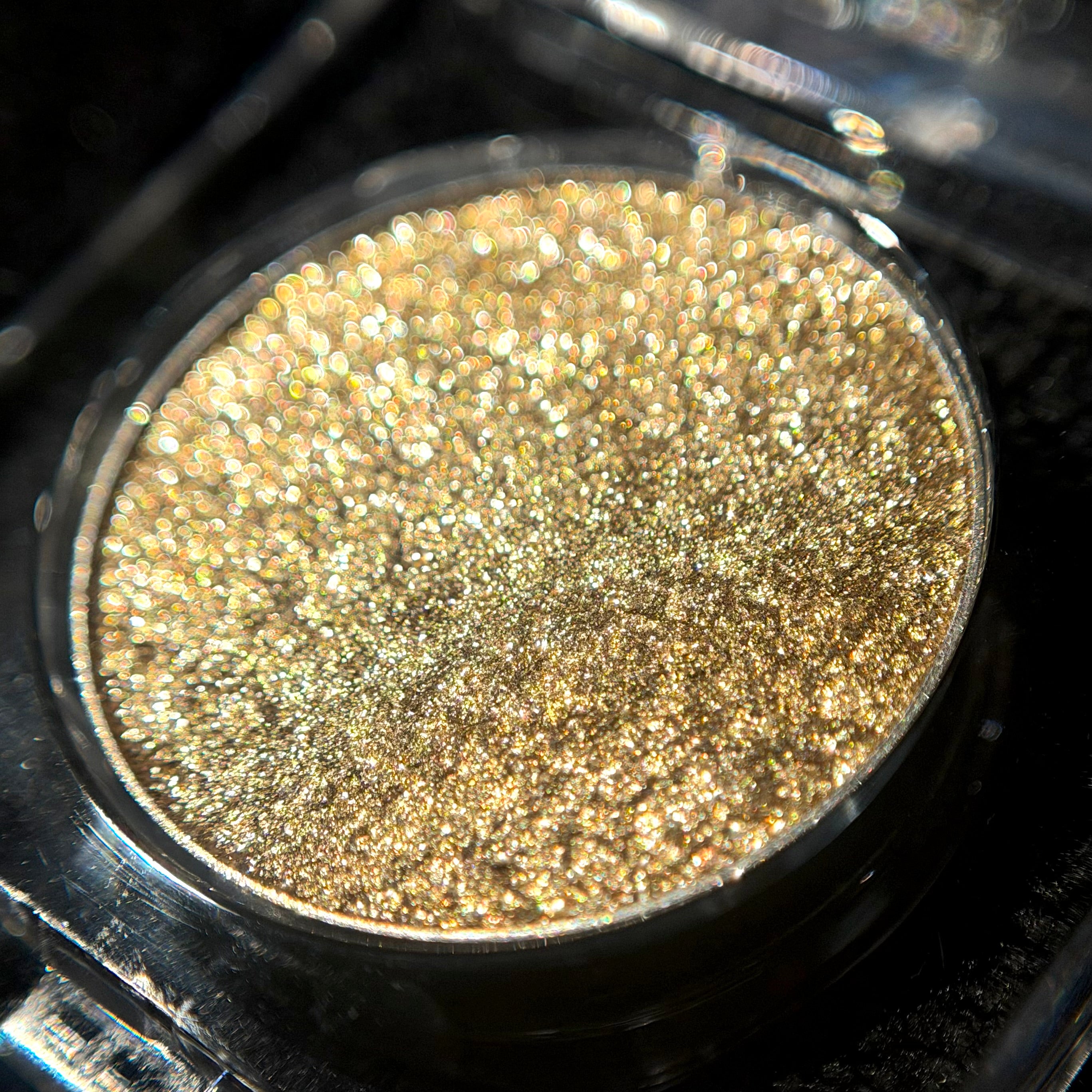 MajesticNova™ – Gold Shimmer