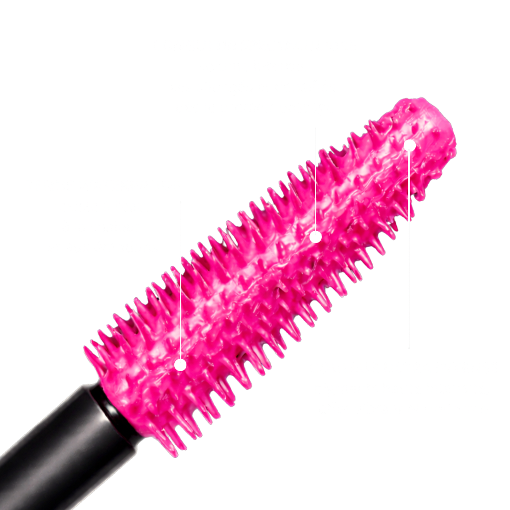 LashStudio™ - First Class