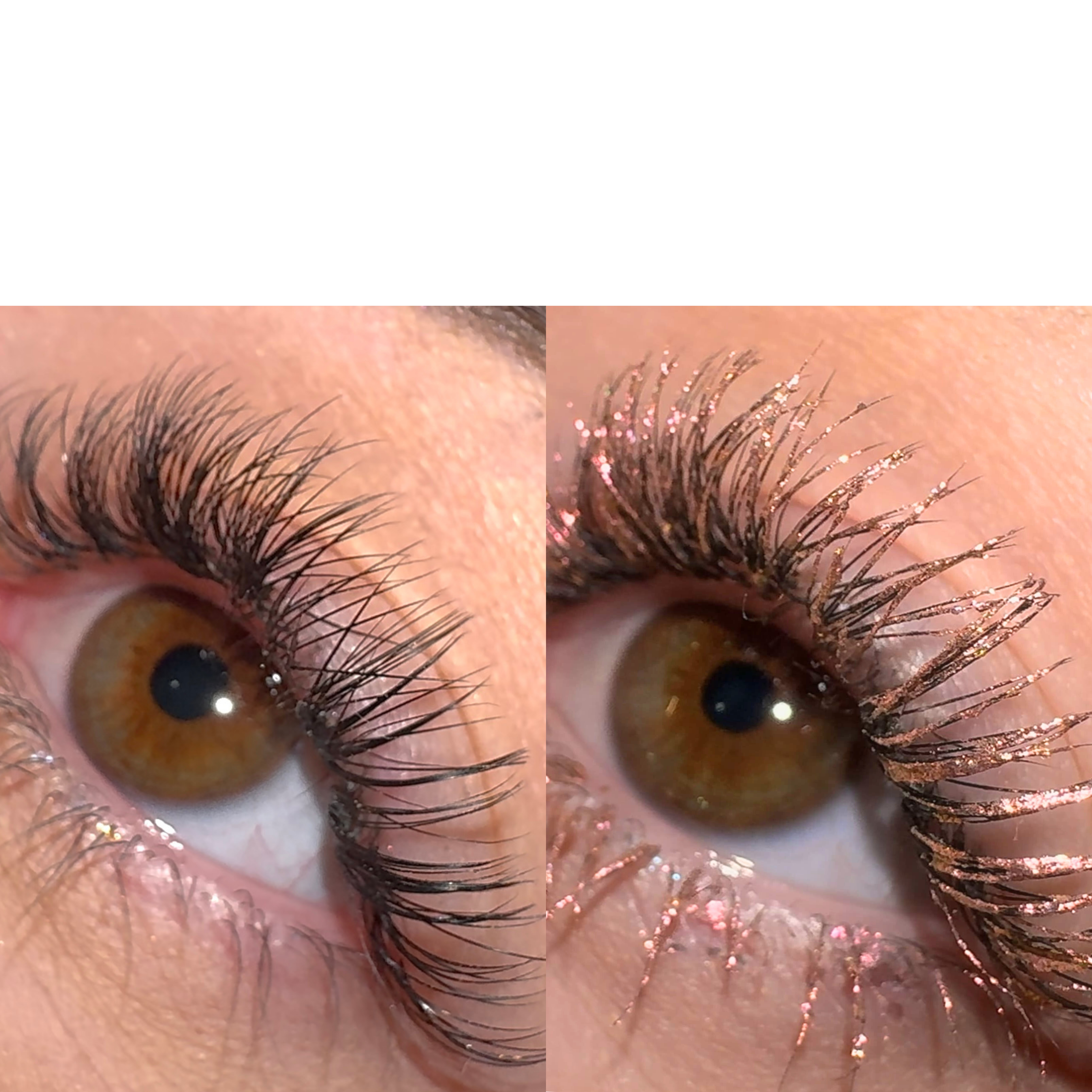 LashTrip™ - Medellin Wild