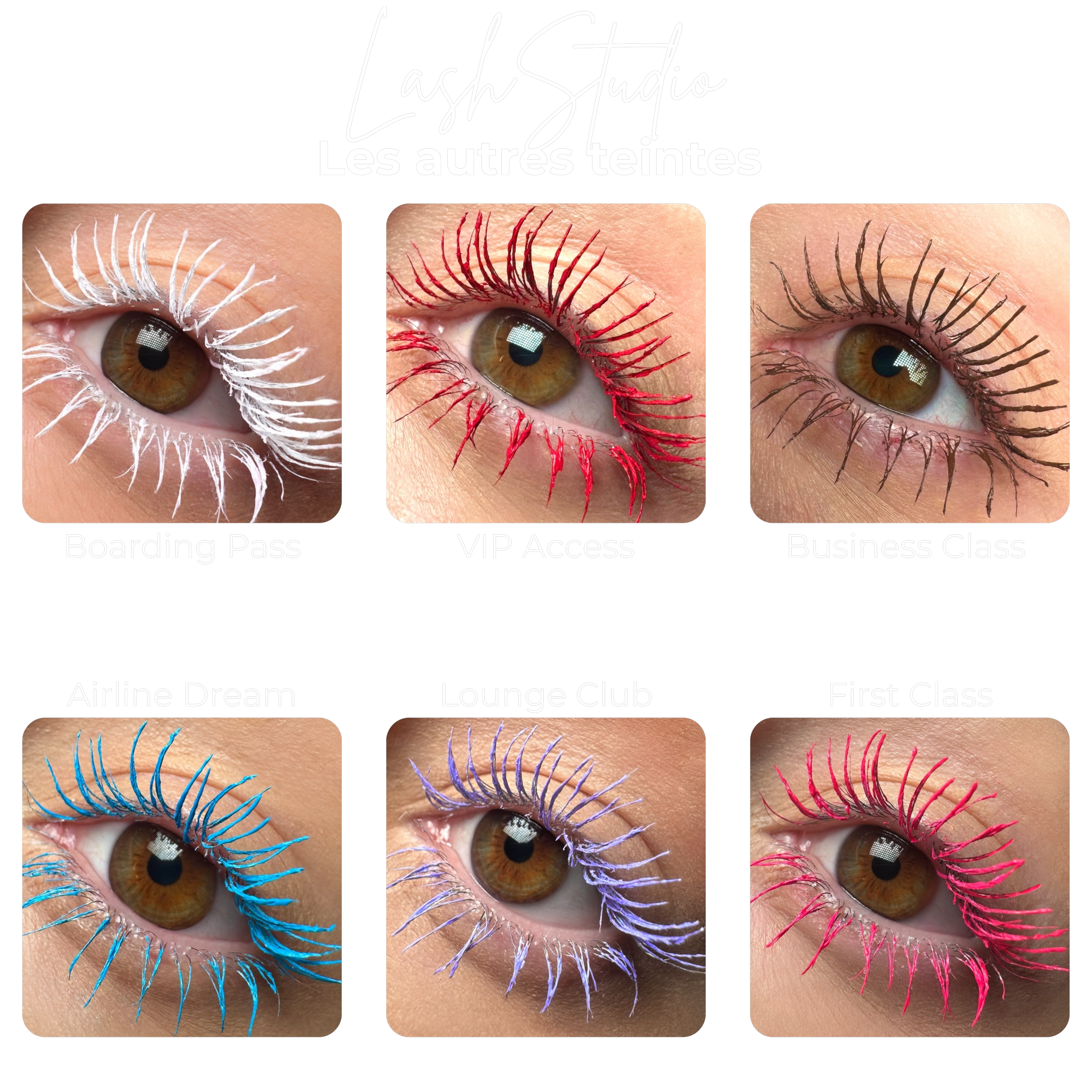 LashStudio™ - Midnight Flight