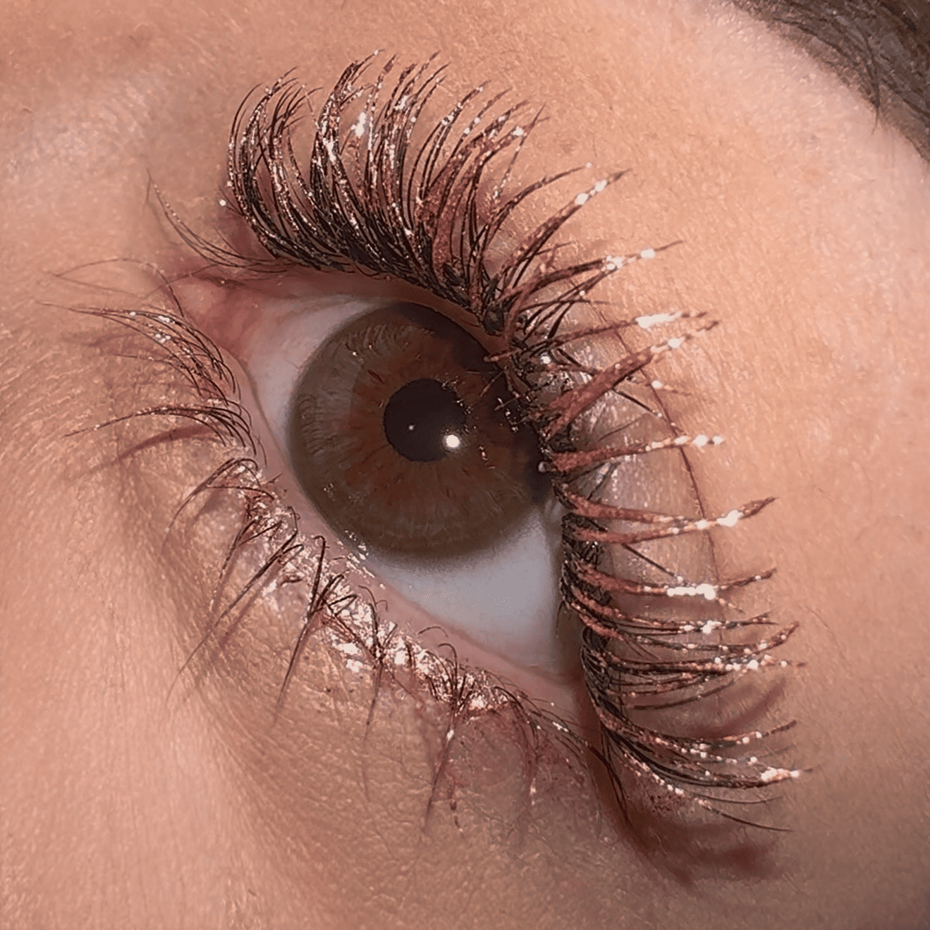 LashTrip™ - Singapore Vision