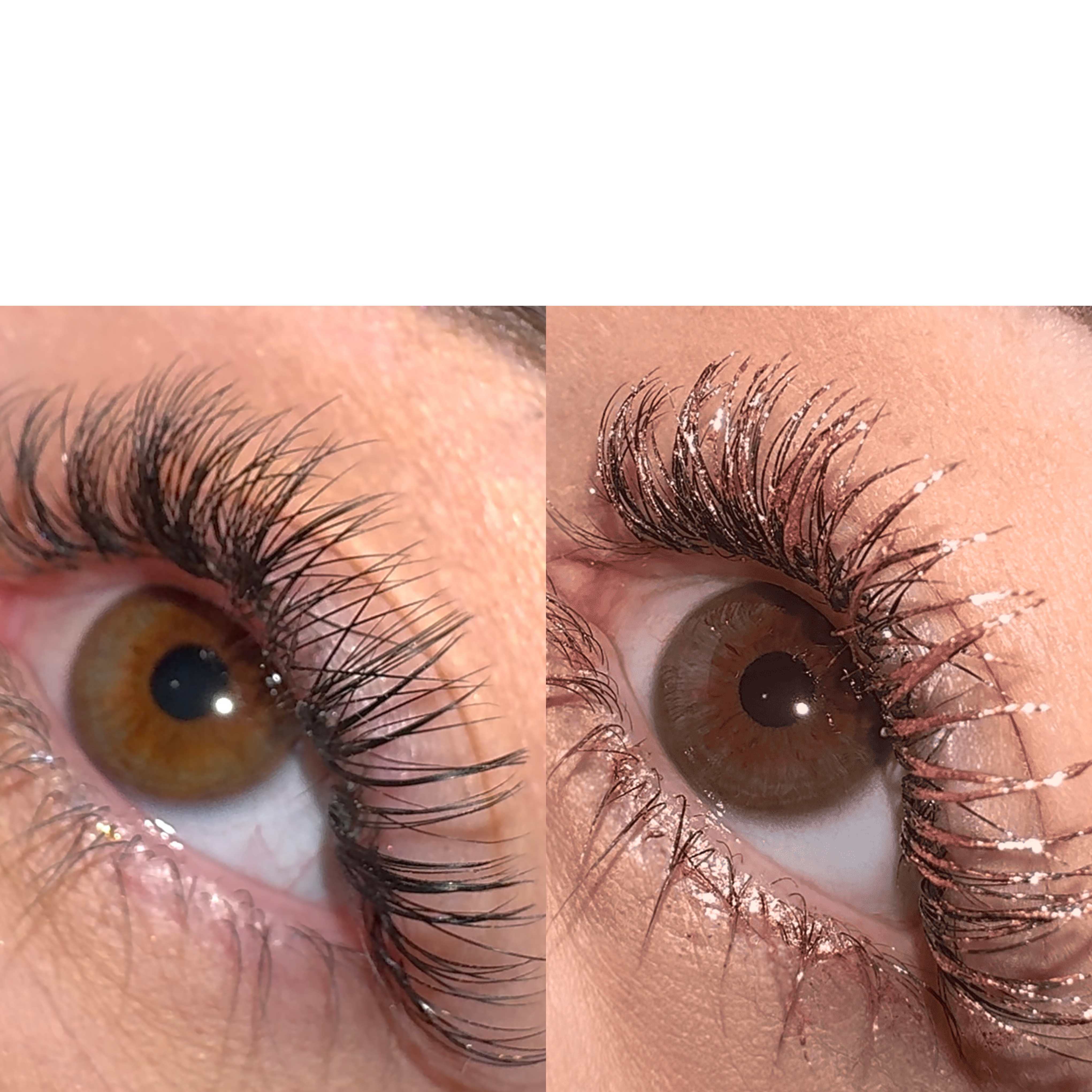 LashTrip™ - Singapore Vision