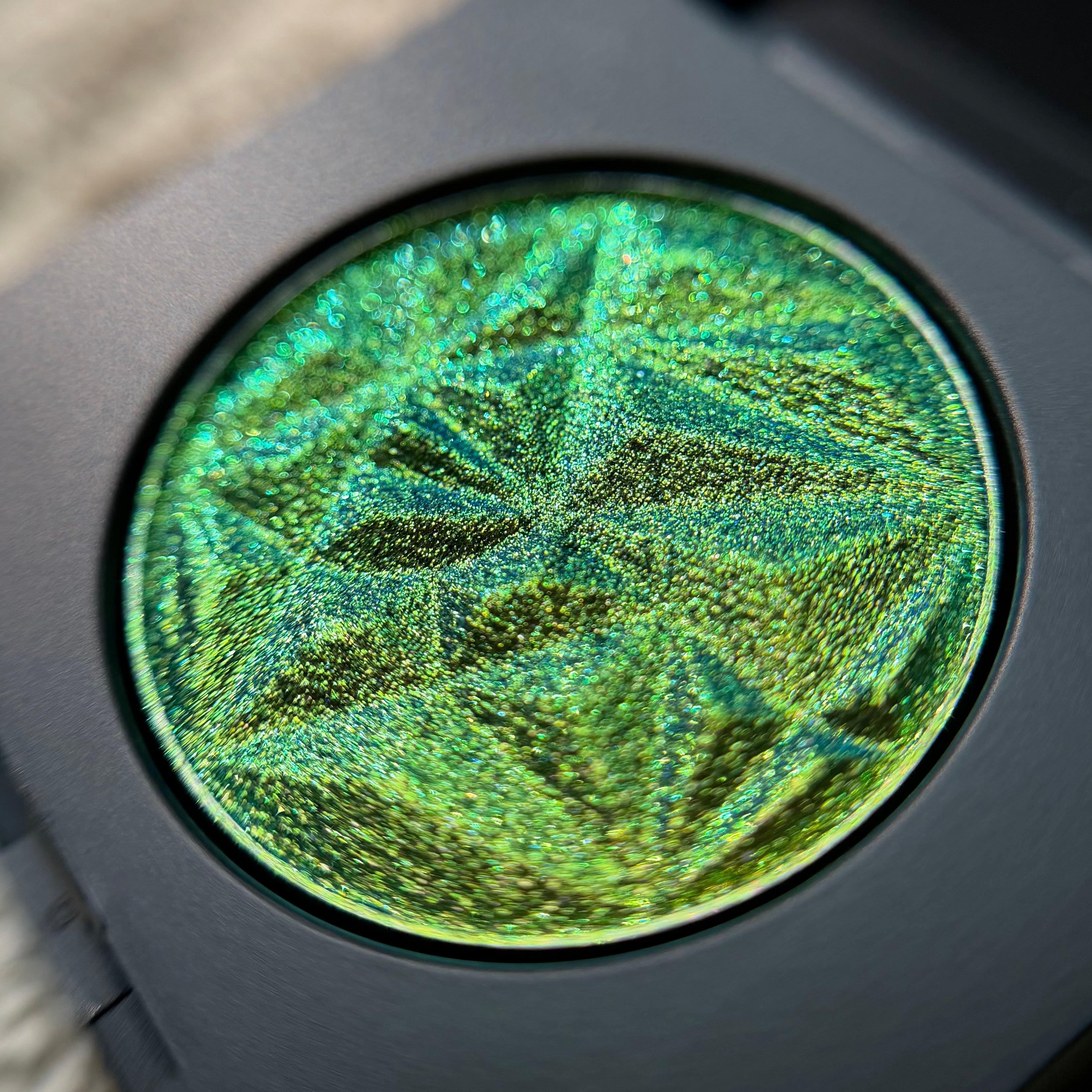 MultiShade™ –  Toxic Charm